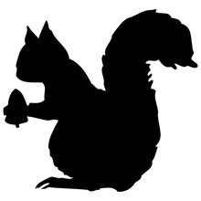 10*9.4CM Squirrel Car Sticker Decals Funny Cartoon Motorcycle Stickers Car Styling Accessories C2-0432 2024 - buy cheap