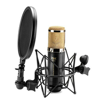 ISK RM-6-micrófono condensador chapado en oro de alta calidad, profesional para grabación de estudio con montaje de choque y filtro POP, DHL/EMS 2024 - compra barato