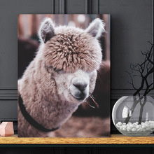 Nordic Real Lively Forest Animals Bow Sheep Lion Canvas Painting Nursery Wall Art Prints Posters Pictures Kids Room Home Decor 2024 - buy cheap