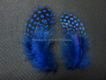 wholesale 100pcs high quality beatiful Royal blue guinea fowl feather 4-8cm / 2-3inch Decorative diy 2024 - buy cheap