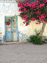 Фон для фотосъемки с изображением старой двери и розовых цветов и деревьев 2024 - купить недорого