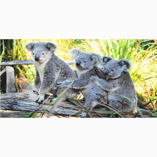 Fashion Soft Beach Towel Bamboo Fiber Yoga Mat koala Swimming Bath Towels toalla de playa Picnic Blanket 70 X 140CM 2024 - buy cheap