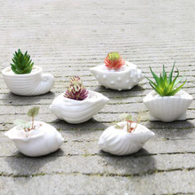 6Pcs/Set White Ceramic Shell Fleshy Flowerpot Conch Mini Flower Plant Pot Planter Desktop Ornaments Home Garden 2024 - buy cheap
