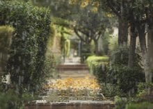 Fondos de fotografía para niños, telón de fondo con diseño de lluvia, sol, Rayo, camino, árbol verde, impresión por ordenador de alta calidad 2024 - compra barato