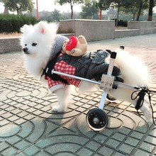 Тележка 3 размера, инвалидная коляска для собак/кошек для людей с ограниченными возможностями, S/M/L, для собак \ кошек \ щенков \ собак, прогулок 2024 - купить недорого