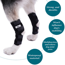 2 PCS Pet Knee Pads Dog Back Leg Brace Pet Protector Dog Canine Hint Leg Brace Wraps  Injury Fixed Knee Pads Dog Feet Cover 2024 - buy cheap
