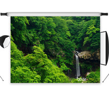 Pano de fundo fotográfico sem dobra-cabeça de poliéster, natural verde cachoeira lavável sem dobra para estúdio de fotografia 2024 - compre barato