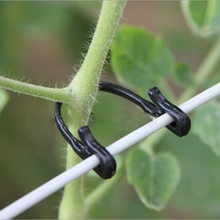 10Pcs Tomato Clips Trellis Garden Vegetable Binder Twine Plant Support U Type DORP SHIPPING 2024 - buy cheap