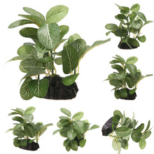 12x11.5x5cm Aquarium Underwater Plants Plastic Ficus Tree for Fish Tank Decorations Ornament 2024 - buy cheap