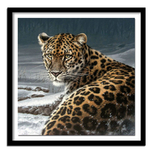 Full Square Diamond 5D DIY Diamond Painting "leopard" Embroidery Cross Stitch Rhinestone  Painting Decor 2024 - buy cheap