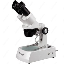 Microscopio Binocular estéreo con 2 luces halógenas, suministros de AmScope 20X-40X 2024 - compra barato