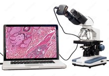 Цифровой комбинированный микроскоп, светодиодный бинокулярный микроскоп с 3D сценой и камерой 8 Мп, AmScope, 40X-2000X 2024 - купить недорого