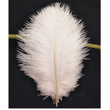20 pcs ostrich feather 13 colors 15-25 cm / 6-10 inches natural  Feathers  Wedding Decoration diy  high quality plume 2024 - buy cheap