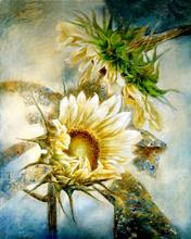 free shipping home wall art decoration pictures pastoral sunflower scenery set oil painting canvas prints printed on canvas 2024 - buy cheap