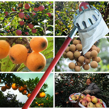 Инструменты для садоводства металлические фруктовые пикеры удобные садоводческие фруктовые пикеры садовые яблоки, персики инструменты для сбора 2024 - купить недорого