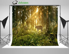 Sun Fairy Tale Forest Deer Tree Bokeh photo backdrop polyester or Vinyl cloth High quality Computer print wall background 2024 - buy cheap