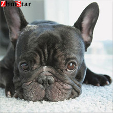 5d diy pintura diamante quadrado completo animal bordado exibição completa preto bonito cão imagem de strass cruz-ponto mosaico xy1 2024 - compre barato