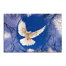 5D DIY Алмазная картина птица полная квадратная Алмазная вышивка крестиком голубь горный хрусталь мозаика Картина пейзаж дерево 2024 - купить недорого