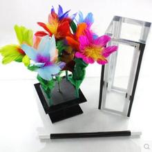 Cristal botania caixa de clareza para flor truques de magia estágio close-up magia mentalismo ilusão adereços flor aparecendo bush 2024 - compre barato