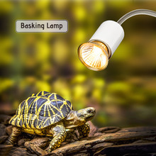 25 Вт аквариум для черепахи лампа для животных галогеновая тепловая лампа UVA UVB Basking лампа обогреватель светильник для рептилий ящерица аквариум для черепахи 2024 - купить недорого