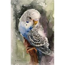 Diamond embroidery Animal parrot 5d diy diamond painting Cross Stitch full square drill Rhinestone mosaic home decor  2024 - buy cheap