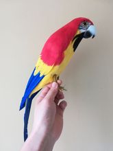 Фотопластик и перья желто-Красный попугай птица 42 см фотоэлемент, реквизит, украшение для дома и сада в подарок w2411 2024 - купить недорого