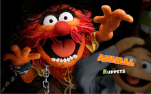 7x5ft animal muppet bebês corrente personalizado foto fundos estúdio backdrops vinil 220cm x 150cm 2024 - compre barato