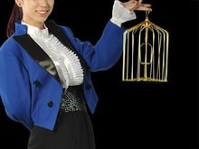 Jaula para pájaros con apariencia de acero dorado-tamaño pequeño (jaula con palomas), trucos de magia, ilusionismo, artilugios, accesorios 2024 - compra barato