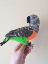 Papagaio de brinquedo de polietileno e furs, brinquedo para presente com formato de pássaro de 28cm e 0316 2024 - compre barato