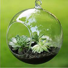 Террариумный шар, прозрачная подвесная стеклянная ваза в форме шара, террариумные растения, контейнер, микро пейзаж, сделай сам, свадебное украшение для дома 2024 - купить недорого