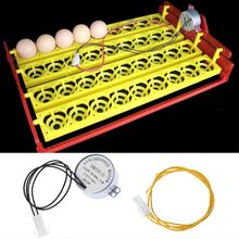 Motor de incubadora de huevos, motores sincrónicos para incubadora automática de pollos y aves, 220V 2024 - compra barato