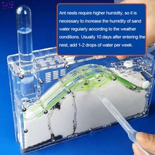 New 19.6*13.3*2.9cm DIY moisture with feeding area ant nest ,ant farm acryl, insect ant nests villa pet mania for house ants 2024 - buy cheap