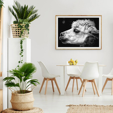 Quadros de parede preto e branco animais ovelhas cartazes nordic minimalismo quadros da lona para sala estar decoração arte 2024 - compre barato