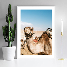 Cuadros Decoracion Salon Llama Animal Posters and Prints Canvas Painting Camel Wall Pop Art Print Wall Pictures For Living Room 2024 - buy cheap