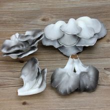 050 PU imitation mushroom/imitation mushroom model/cabinet decoration vegetable model 2024 - buy cheap