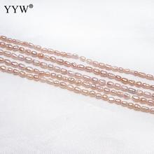 Cultured Baroque Freshwater Pearl Beads Nuggets natural pink 2-3mm Approx 0.8mm Sold Per Approx 15 Inch Strand 2024 - buy cheap