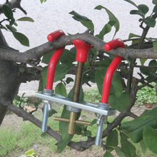 Herramientas para bonsái, modulador de espuma, regulador de Lopper de maletero, cuchillo de injerto de reparación, tijeras de podar de jardín, herramienta de modelado DIY 2024 - compra barato