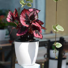 Automatic Self Watering Flower Plants Pot Put In Floor Irrigation For Garden Indoor Home Decoration Gardening Flower Pots 2024 - buy cheap
