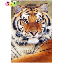 Dpf 5d completo redondo pintura diamante retrato tigre presente diy bordado cubo mágico ponto cruz artesanato mosaico decoração de casa 2024 - compre barato
