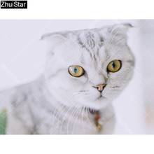 Zhui estrela quadrado completo broca 5d diy pintura diamante "um gato branco" 3d bordado ponto cruz strass mosaico decoração por que 2024 - compre barato