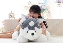 Almohada grande de peluche de perro husky de 70 cm, regalo de cumpleaños h951 2024 - compra barato