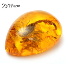 KiWarm Fashion Natural Scorpions Insect Inclusion Amber Baltic Gemstone Pendant Necklace Sweater Decorations DIY Crafts Gift 2024 - buy cheap