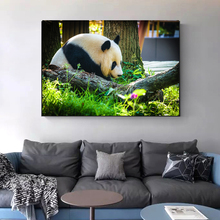 Realist Giant Panda Wall Posters And Prints Modern Animals Canvas Art Paintings On The Wall Pictures For Living Room Wall Decor 2024 - buy cheap