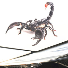 Adesivo criativo de animais 3d spider, adesivos de carro para arranhões de escorpião, para jeep grand cherokee, compass, commander 2024 - compre barato