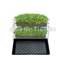 garden supplies Hot sale Seedling tray sprout plate nursery pots tray box 54*28*5 2024 - buy cheap