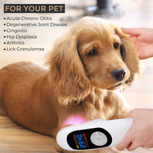 LASTEK Factory supply Low Level Laser therapy device for pet wound healing 2024 - buy cheap