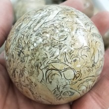 40-60mm Natural Shell Fossil sphere Fossil seashells specimen Globe Ball Rock stones and Minerals Reiki Healing Home decor 2024 - buy cheap