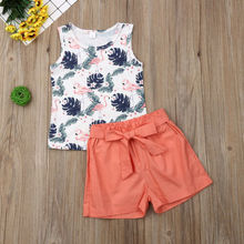 2PCS Toddler Kids Baby Girls Outfits Clothes Floral T-shirt Tops Bow Short Pants Set 2024 - buy cheap
