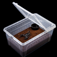 Fast Delivry Transparent Plastic Box Insect Reptile Transport Breeding Live Food Feeding Box For Insect Reptile 2024 - buy cheap