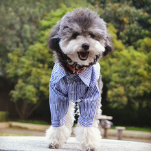 Одежда для собак для маленьких собак полосатая рубашка для чихуахуа хлопковая куртка для французского бульдога йоркширская одежда для щенка любимца костюм кота 2024 - купить недорого